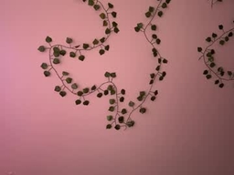 Gallery 1