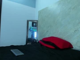 Gallery 1