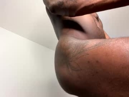 Janstallionx profile