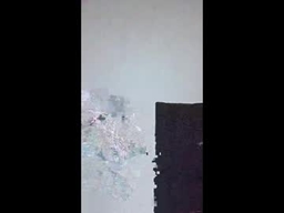 Kittyj655238 profile