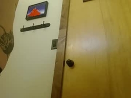 Gallery 1