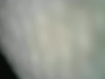 Vikl69